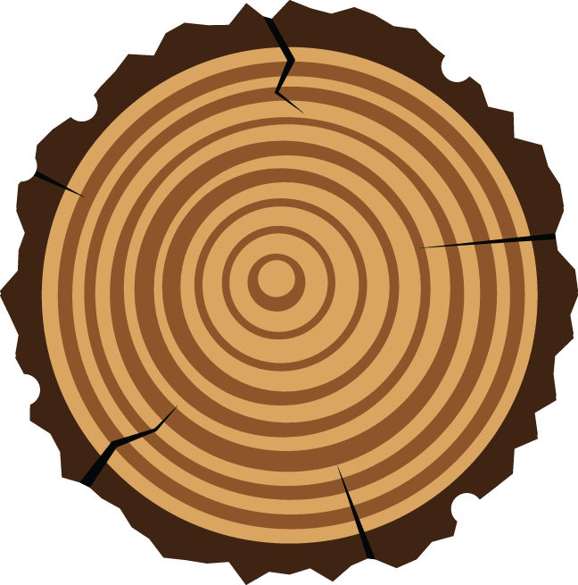 699 Graphic Illustration - Clip Art Wood Svg (648x655), Png Download