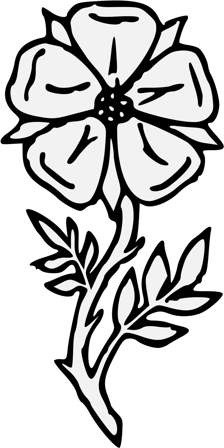 Details, Png - Rose (768x1467), Png Download
