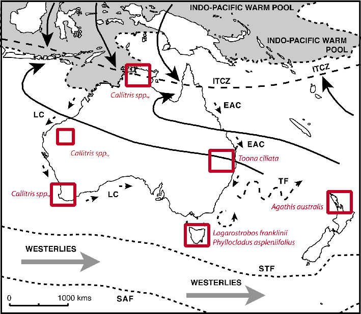 Location Of Australasian Tree-ring Sites Discussed - Leeuwin Current (709x618), Png Download