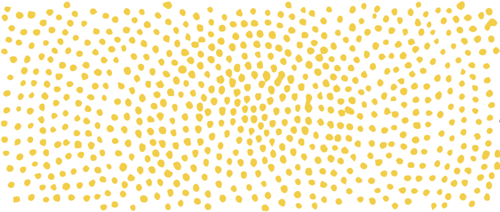 Tree Ring - Wallpaper (1000x425), Png Download