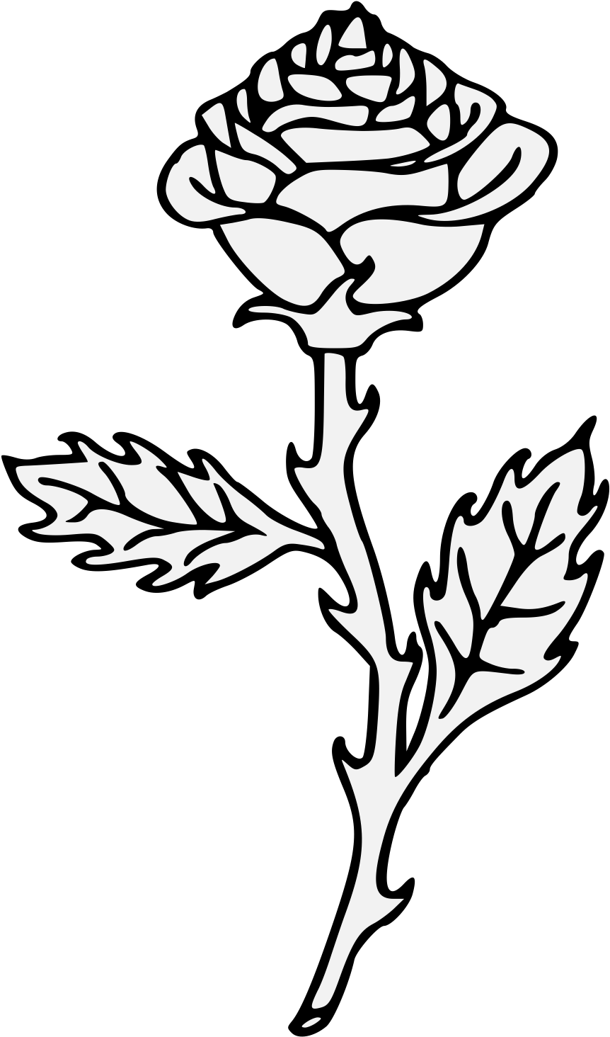 Details, Png (881x1467), Png Download