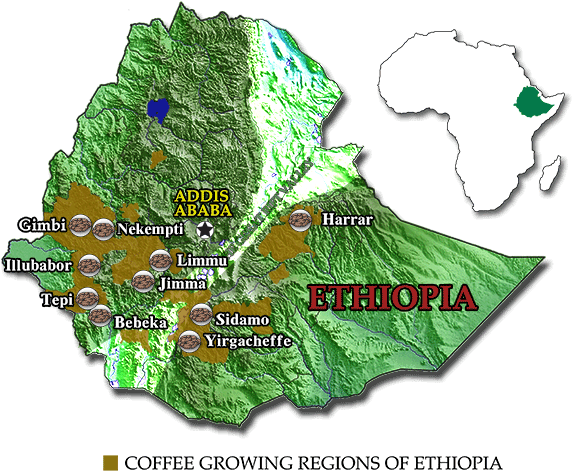 While Metad Can, Upon Request, Source And Deliver Specific - Coffee Growing Regions In Ethiopia (600x514), Png Download