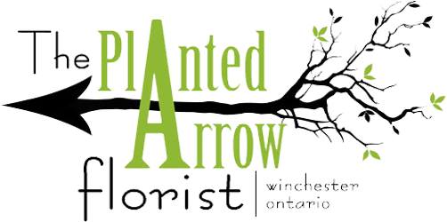 The Planted Arrow Florist - Up Syndrome: It's All About The Attitude [book] (510x258), Png Download