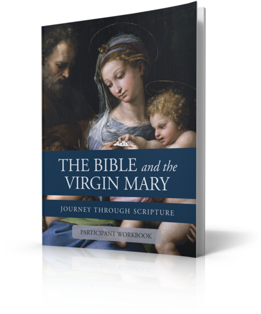 Special Formed Pricing - Bible And The Virgin Mary Journey Through Scriptures (612x700), Png Download