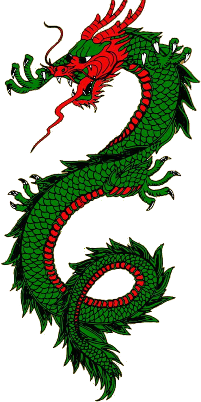 Water Dragon, - Green Dragon Serpent Shower Curtain (500x810), Png Download