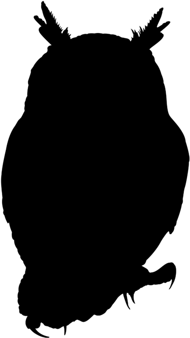Трафарет Листа (456x768), Png Download