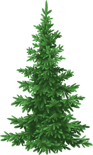 Garden Clipart - Blue Spruce Silhouette (301x500), Png Download