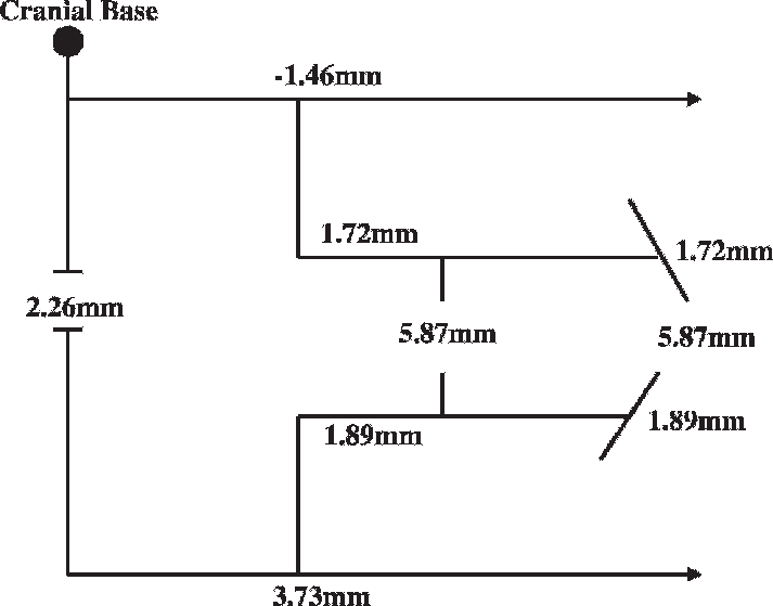 Pitchfork Changes In The Mandibular Protraction Appliance - Diagram (713x559), Png Download