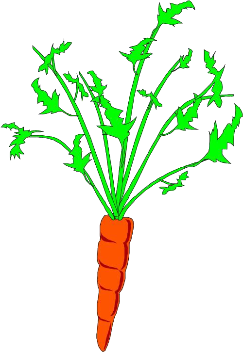Carrots Png Stem Clip Art - Carrot Animation (837x1037), Png Download
