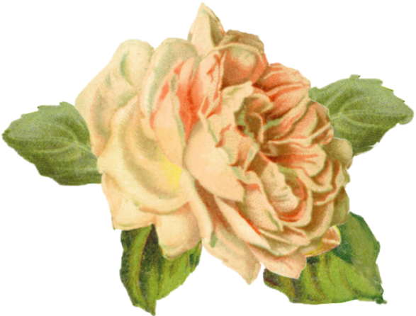 Yellow Rose Tuckdb Org - Pabuku Grußkarte Magic Just Happens (600x600), Png Download