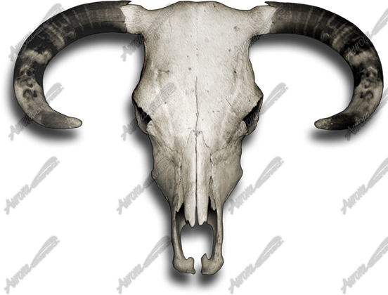 Horn (552x420), Png Download
