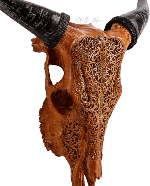Carved Cow Skull - Cattle (600x600), Png Download
