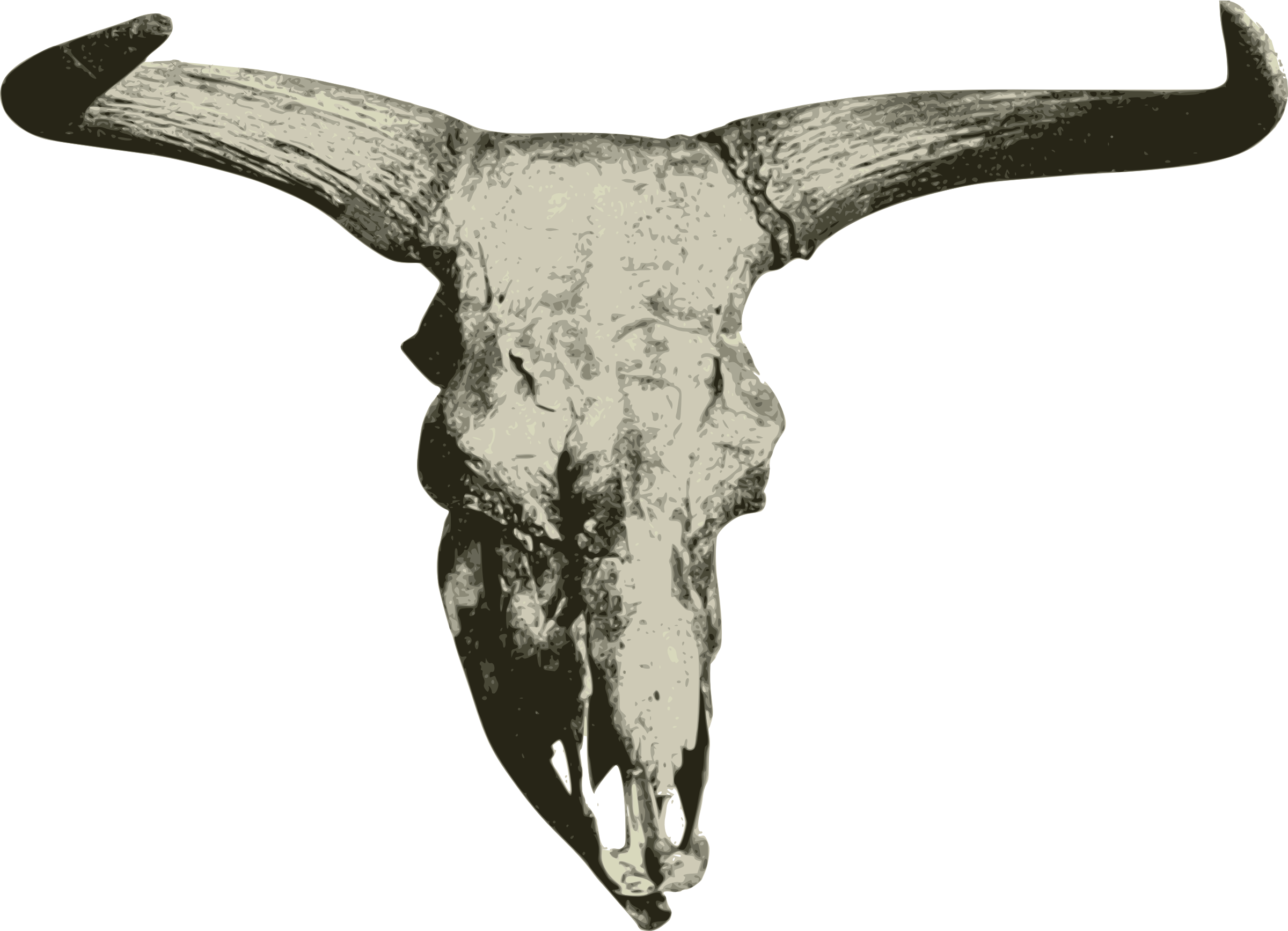 Big Image - Bison (2400x1735), Png Download