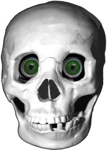 Cool Skull With Green Eyes - Drawing (459x532), Png Download