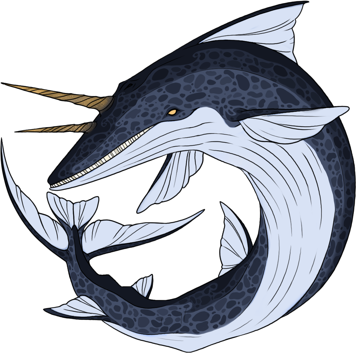 6dsa4l - Illustration (1200x1200), Png Download