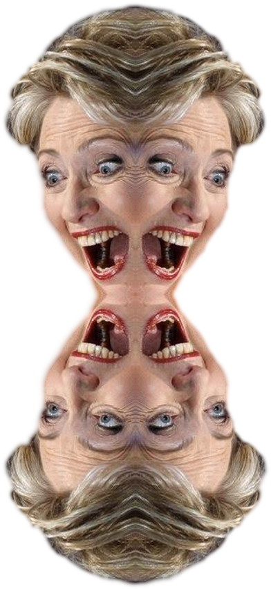 Personfour Face Hillary Clinton - Your Little Dog Too (500x900), Png Download