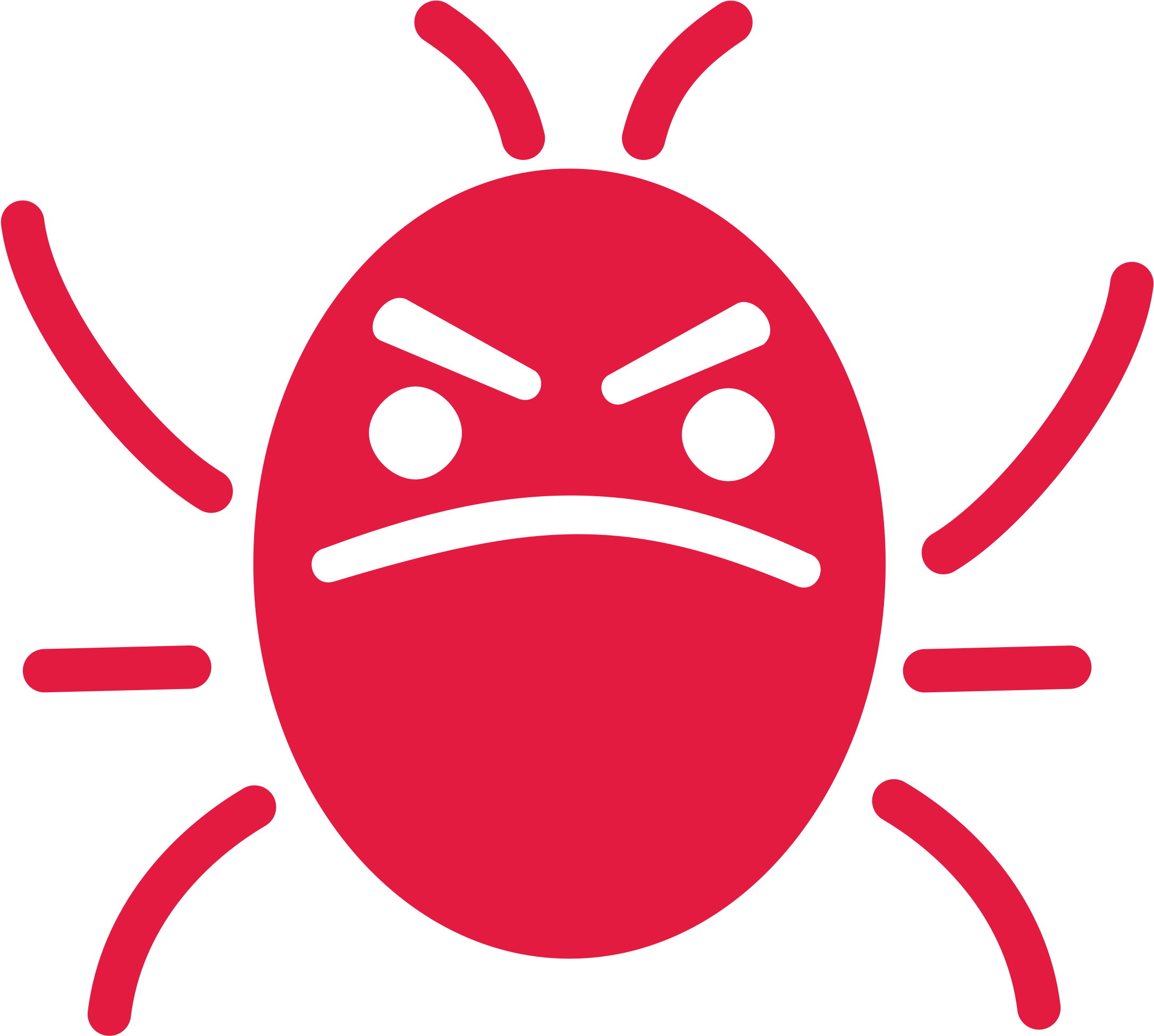 Embed Svg Via Object Or Iframe - Bug Icon Png (800x720), Png Download
