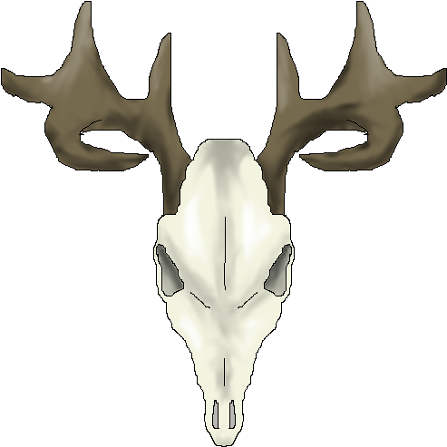 Whitetail Deer Skull Drawings - Animal Skull Art Transparent (502x500), Png Download