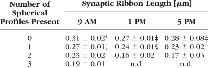 Synaptic Ribbon Profile Length In Individual Rod Terminals - Federation Of American Hospitals (717x235), Png Download