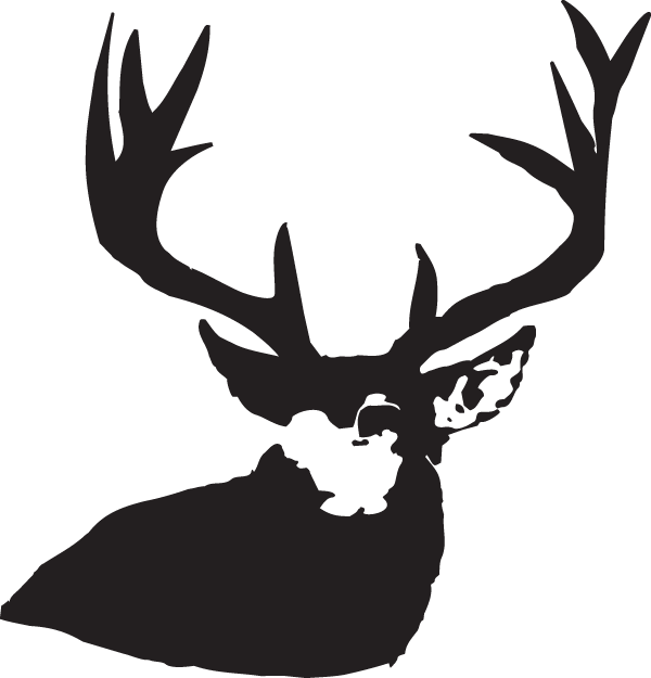 Decal (600x625), Png Download