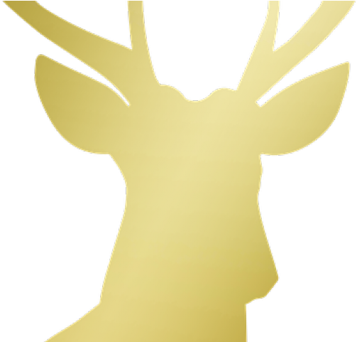 Stag Clipart Golden - Reindeer (640x480), Png Download