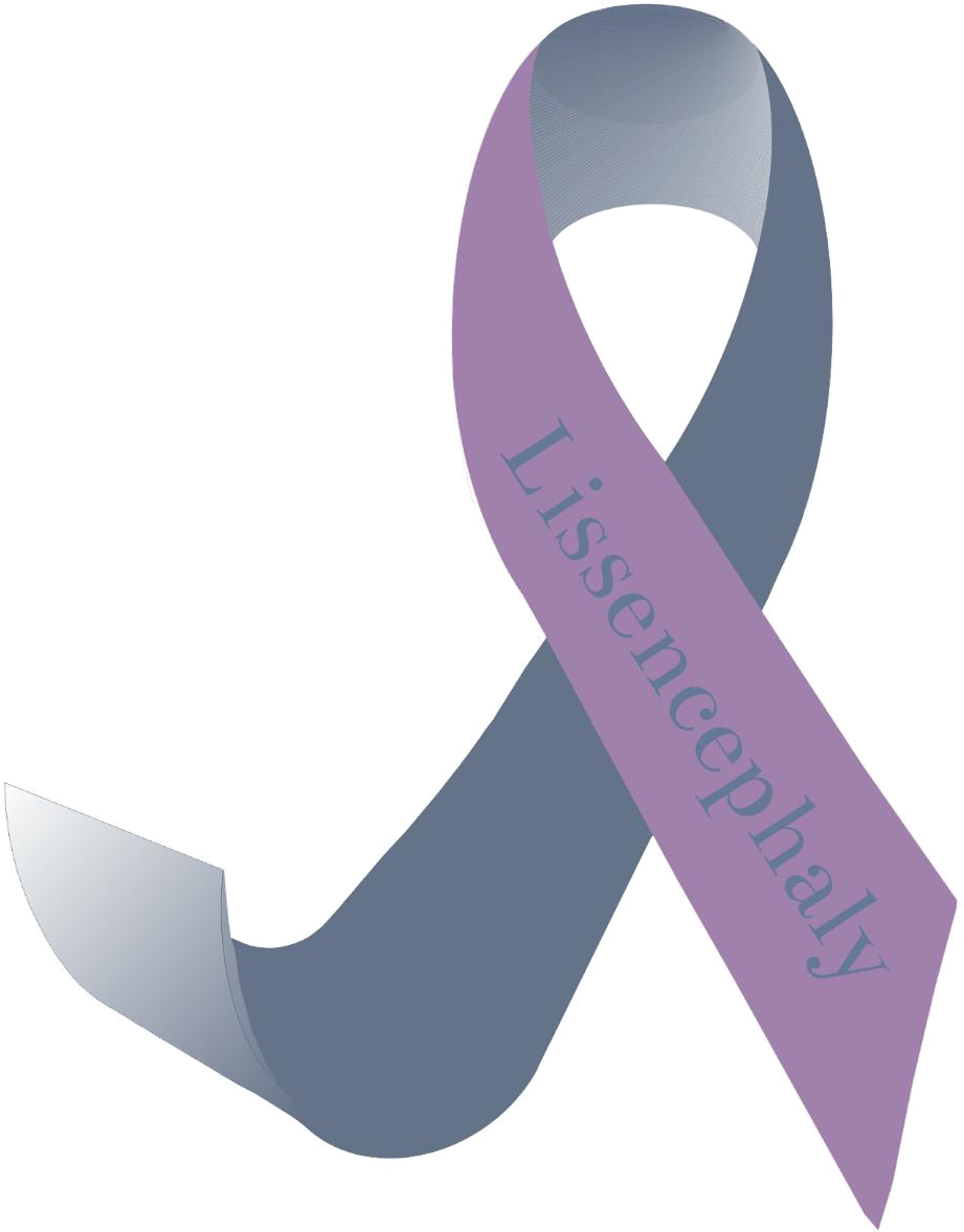 To Assist The Lissencephaly Community With Their Effort - Lissencephaly Awareness (1038x1280), Png Download