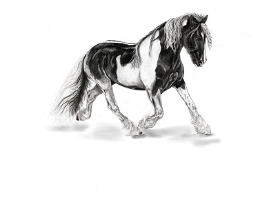 Horse Mottled Art Animals Painting Digital - Horse (408x340), Png Download