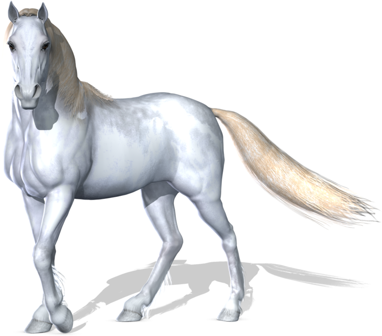 Horse Png Image - White Horse Images Png (900x696), Png Download