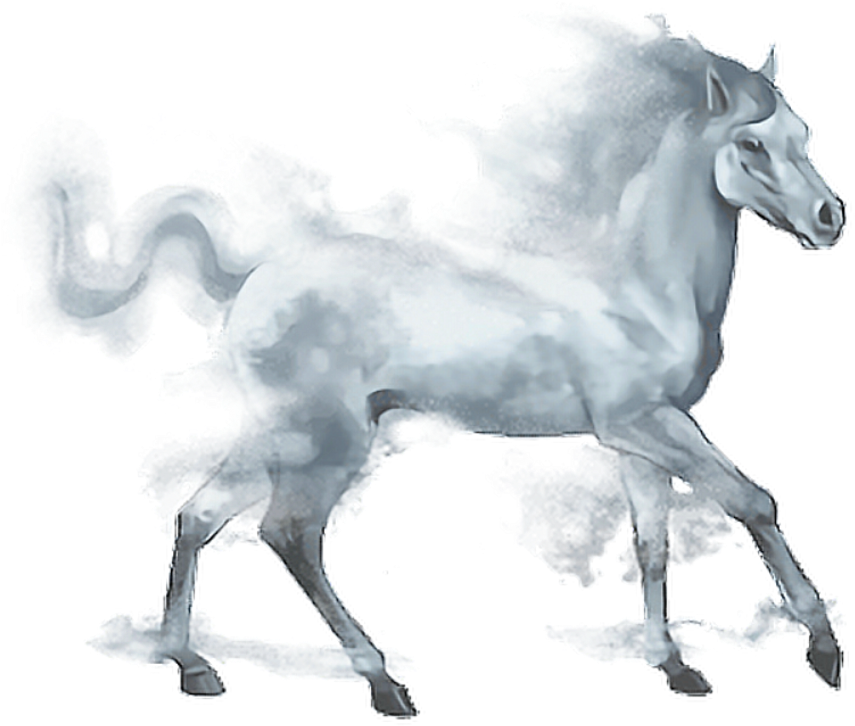 Horses Png (1024x1024), Png Download