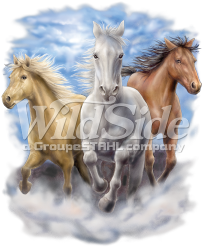 3 Running Horses - T-shirts Graphic Picture Animals,bikes Skulls American (406x496), Png Download