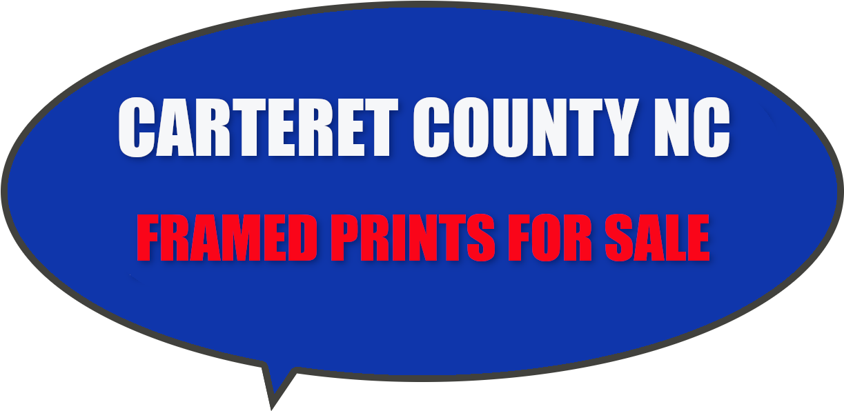 Framed Paintings For Sale Carteret County Nc - Staying Alive In Lampasas County [book] (1298x728), Png Download