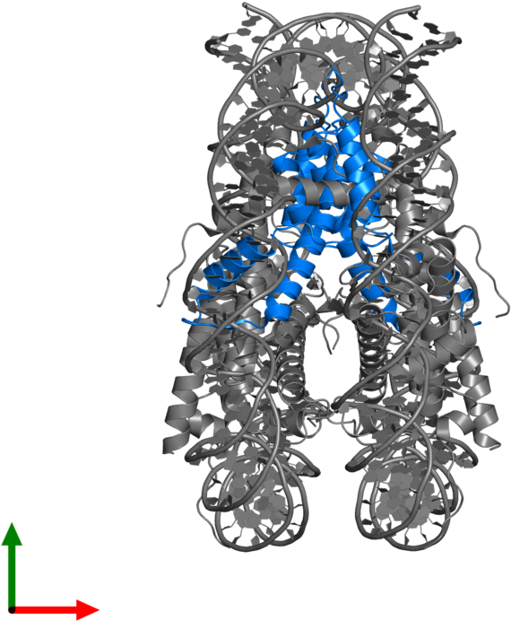 Illustration (800x800), Png Download