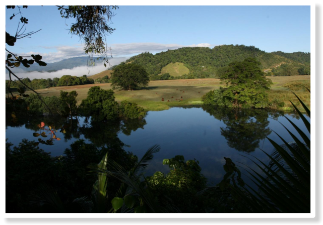 Sun Rising Over The Daintree Rive - Daintree (650x457), Png Download