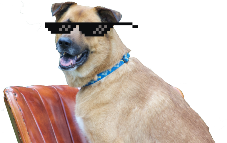 Cool Max - Coolmax (1000x667), Png Download