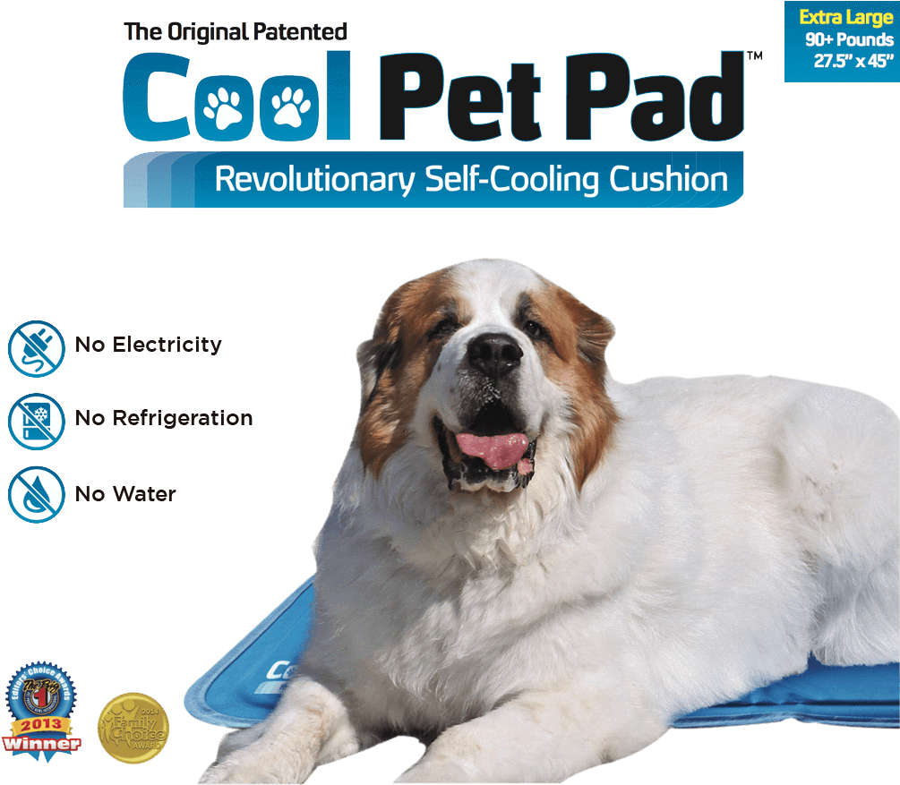Green Cooling Pet Mat - No Water (1024x876), Png Download