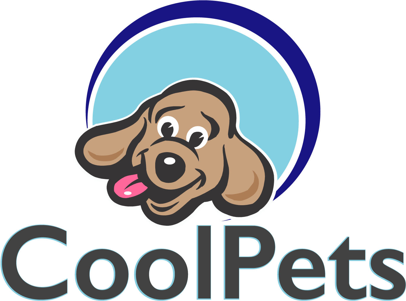Cool Pets Biz - Basic Concept Of Quality (1402x1107), Png Download