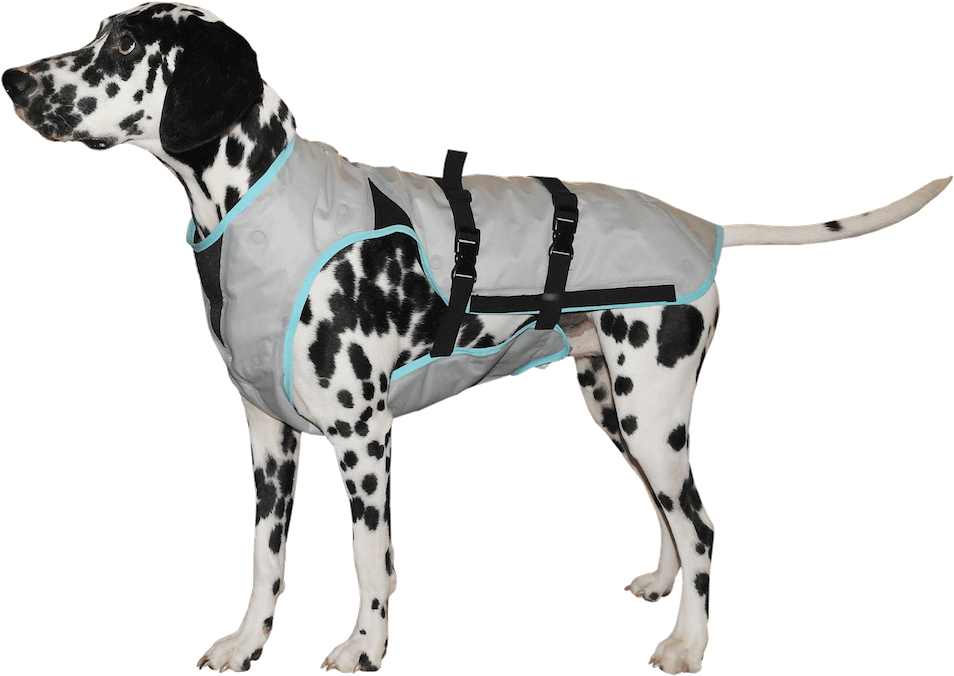 “keep Your Dog Cool And Dry, This Helps To Avoid Heat - Suitical Dry Cooling Vest (986x703), Png Download