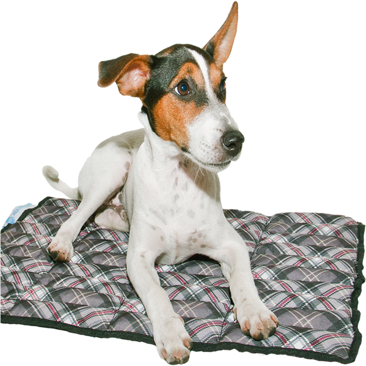 Be - Aqua Coolkeeper Scottish Grey (750x750), Png Download