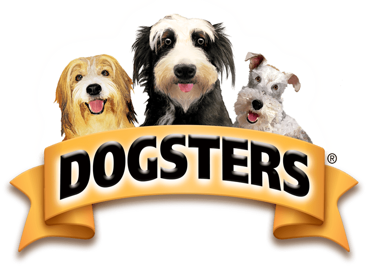 Ice Cream Style Treats For Dogs - Dogsters Ice Cream Price (720x523), Png Download
