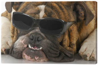 Dog (400x400), Png Download