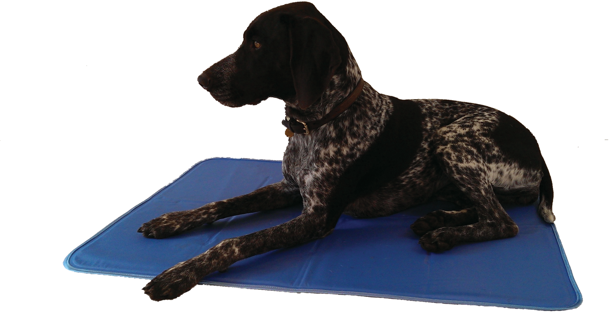Animat Cool Gel Mat - Animalarm (2100x1100), Png Download