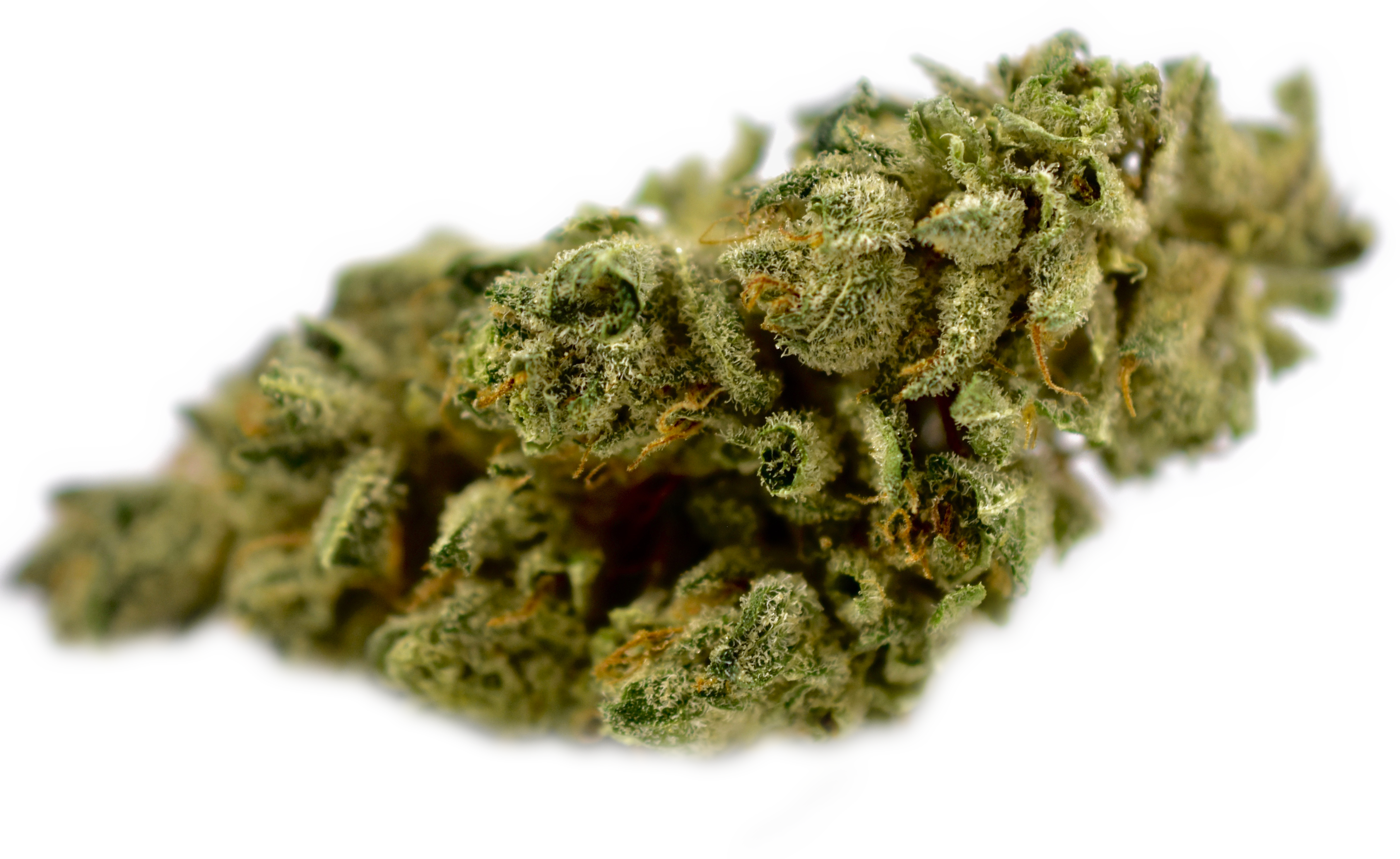 2017's Best & Worst Cannabis Moments - Close-up (4781x2933), Png Download
