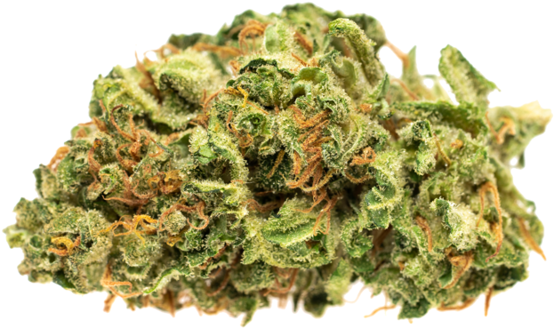 Bud (630x630), Png Download