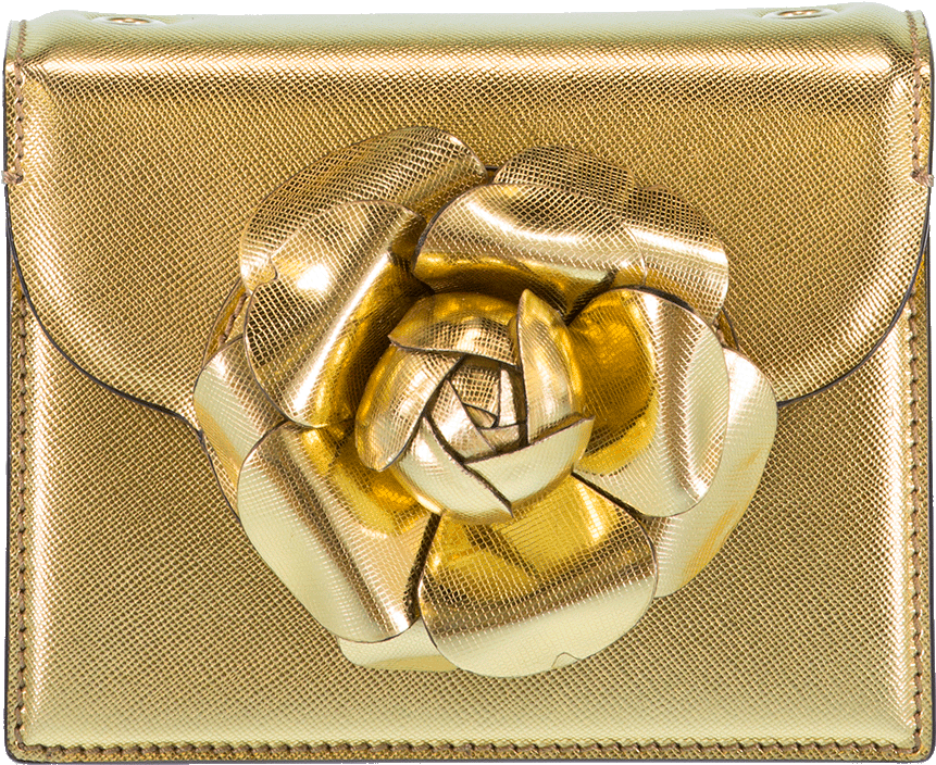 Oscar De La Renta Mini Tro Crossbody Bag, Gold - Oscar De La Renta (960x1223), Png Download