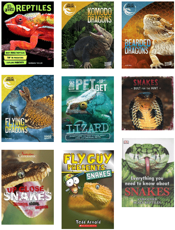Reptiles And Amphibians - Real-life Dragons (436x518), Png Download