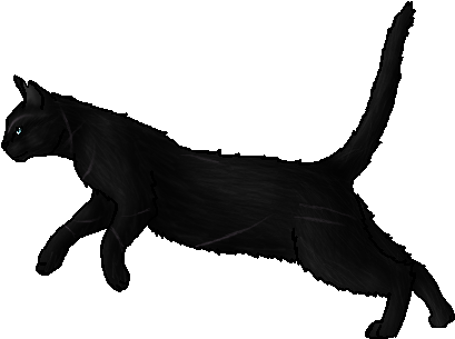 Creekfrost - Warrior - Cat (473x330), Png Download