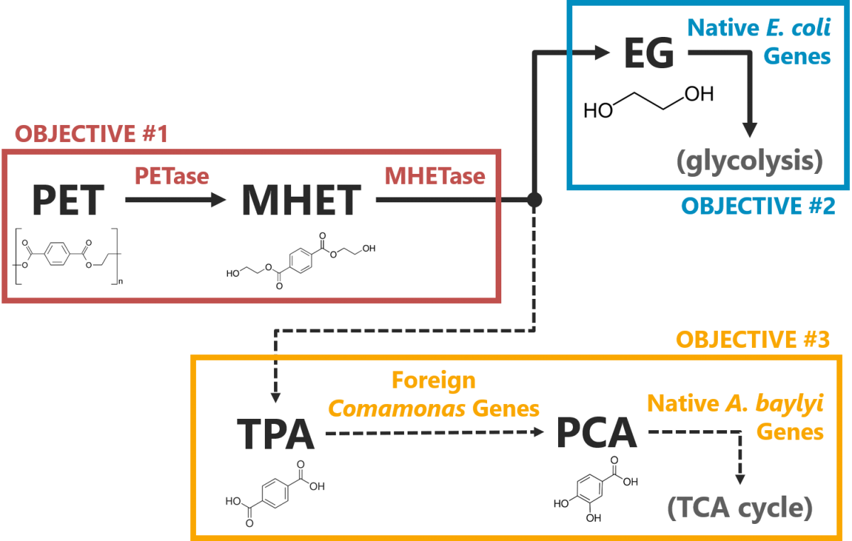 Notebooks - Diagram (1200x762), Png Download