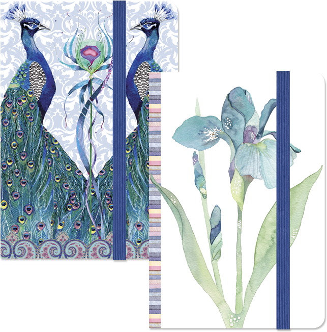 Picture Banded Notebooks - Illustration (710x1007), Png Download