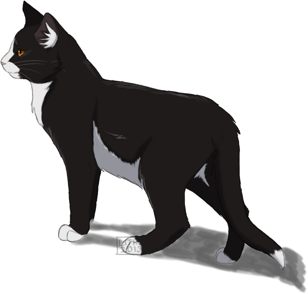 Яєввєℓℓιση - Warrior Cats Fan Art Tallstar (1024x958), Png Download