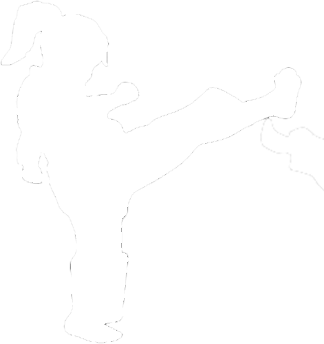 Our Warrior Cubs Programme Is A Structured, Safe And - Silhouette (500x500), Png Download